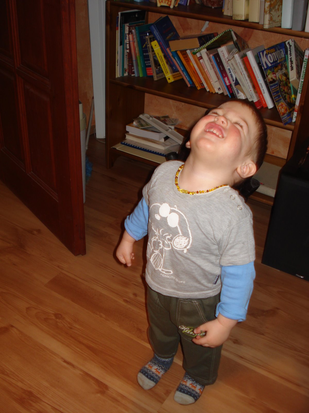 [DSC03787.JPG]