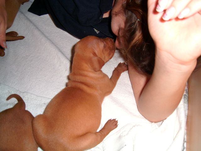 [!cid_image004.jpg@01CA112D[1]]