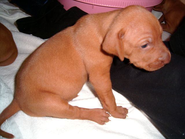 [!cid_image007.jpg@01CA112D[1]]