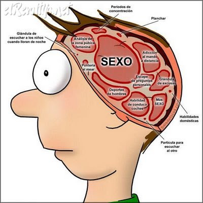 Por que es mejor ser Hombre Por que es mejor ser Hombre