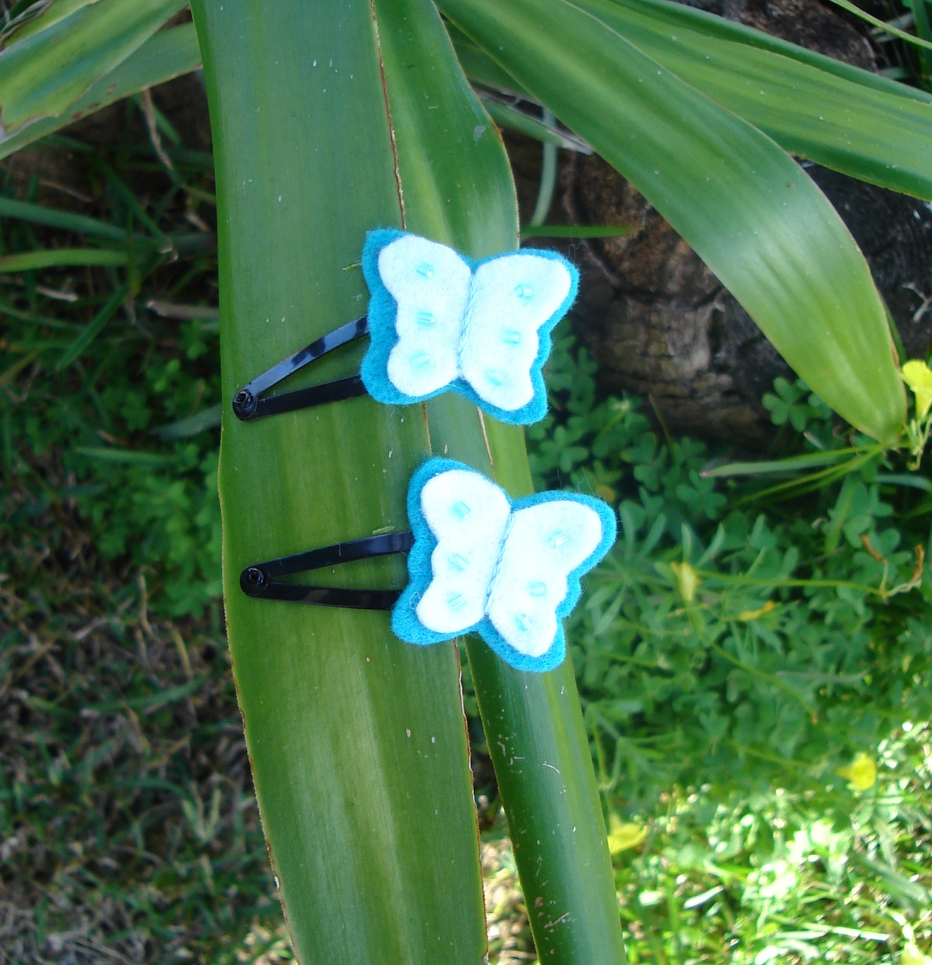 [DSC01428.JPG]