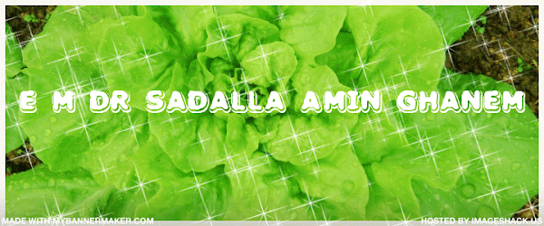 Blog do Sadalla