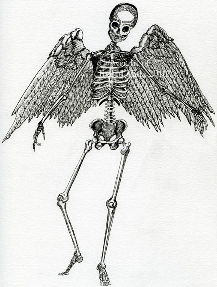 beauty and death