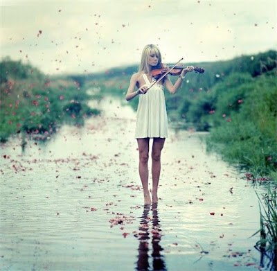 Beautiful nature violin play on a water This picture is perfect example of
