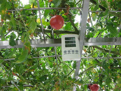 Underground Urban Farm In Japan (9) 2