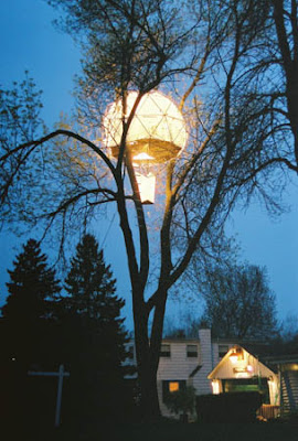 O2 Treehouse (3) 2