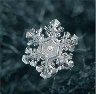 Beautiful Snowflakes (21) 1