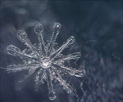 Beautiful Snowflakes (21) 2