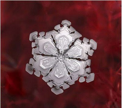 Beautiful Snowflakes (21) 3