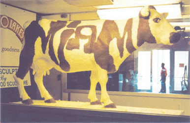 Cow.jpg