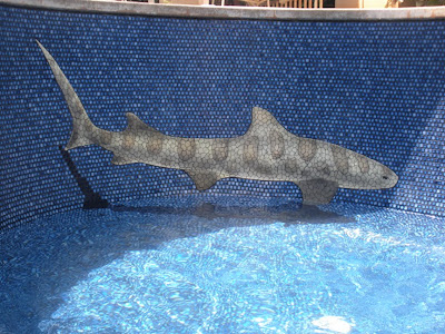 Changing The Look Of Swimming Pool 3D Ceramic Tile Art (11) 8