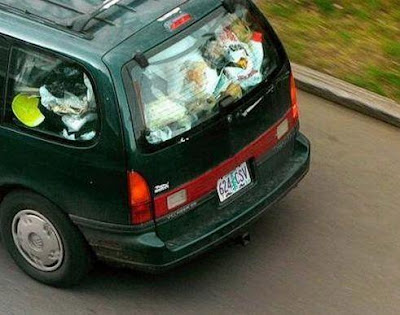 Keep car clean (2) 2