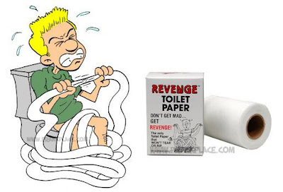Fun With Toilet Paper (11) 9