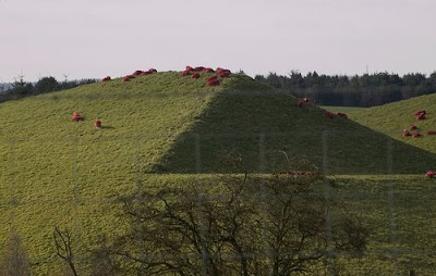 Painted Sheep (7) 3