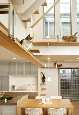 Cat-Friendly House Design (7) 1