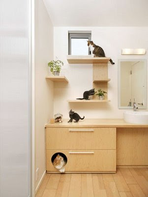 Cat-Friendly House Design (7) 3