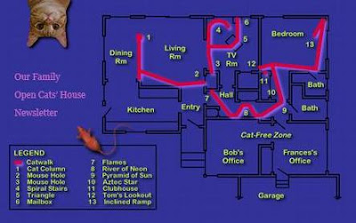 Cat-Friendly House Design - Part: 2 (9) 2