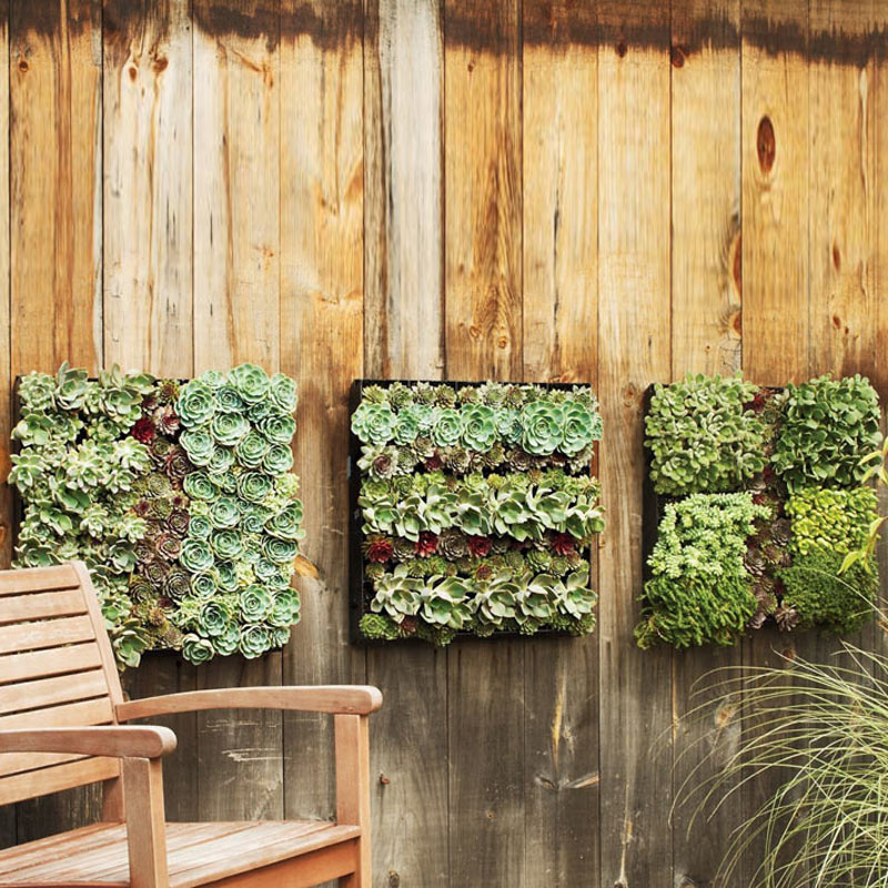 Wall Planters Outdoor