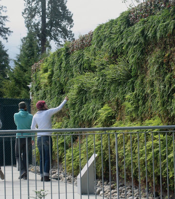 The Living Wall At Vancouver Aquarium:
