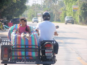 Sidecars Used For Transportation Of Goods (6) 1