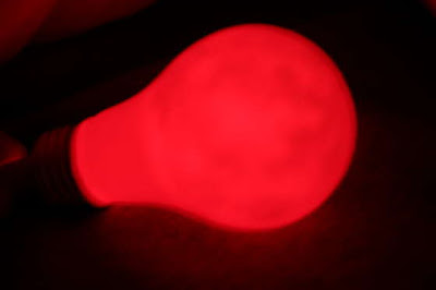 What You Can Do With Old Light Bulbs (30) 5