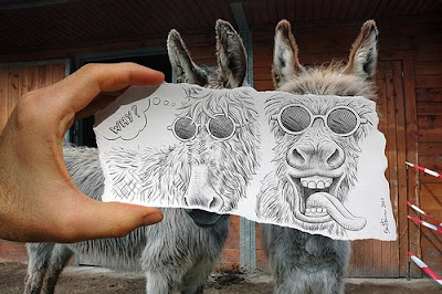 Pencil Vs Camera Series (16) 4
