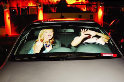 6 Creative and Cool Car Sunshades (6) 2
