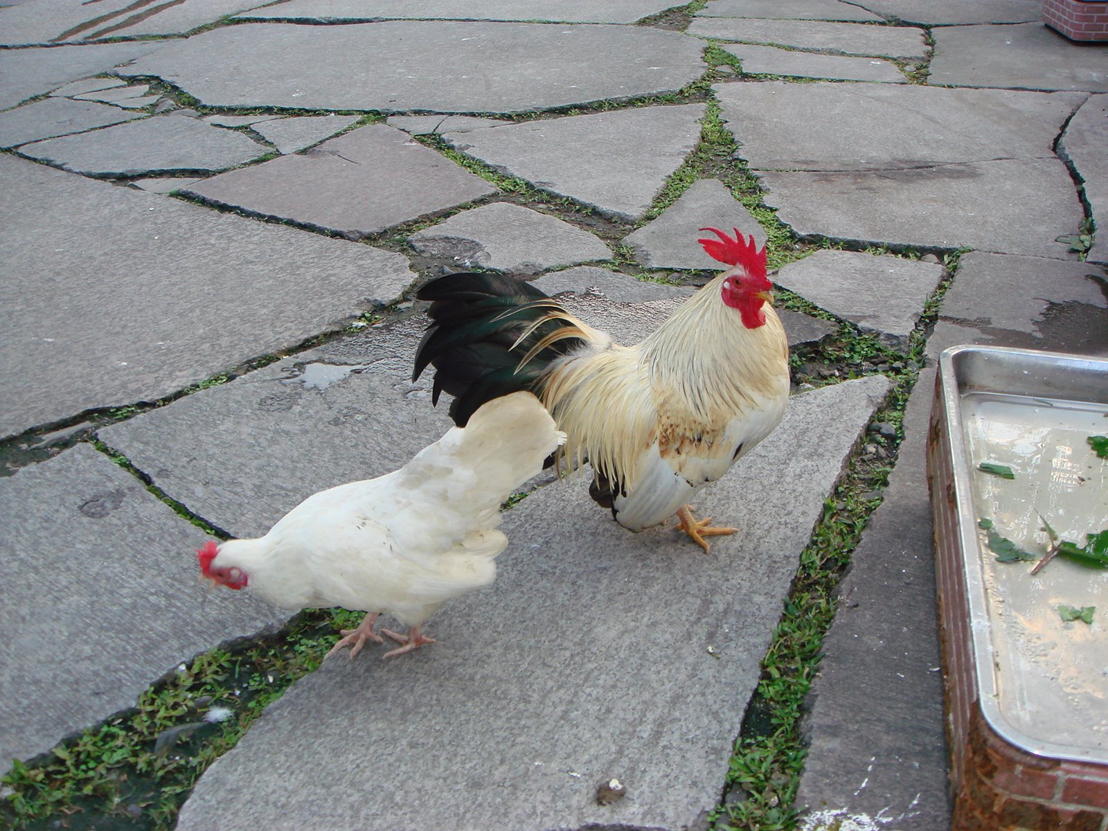 [DSC03574.JPG]