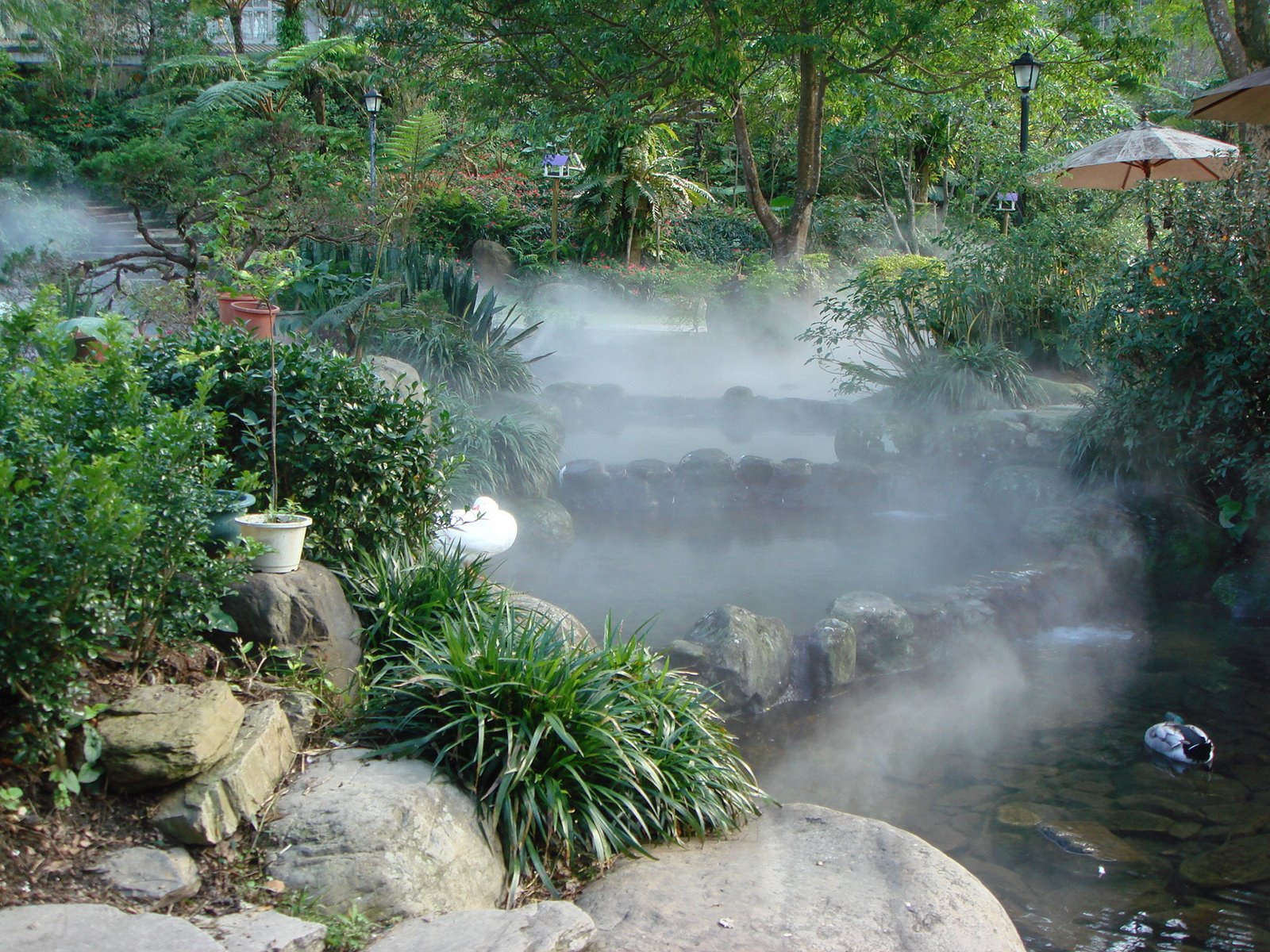 [DSC03580.JPG]
