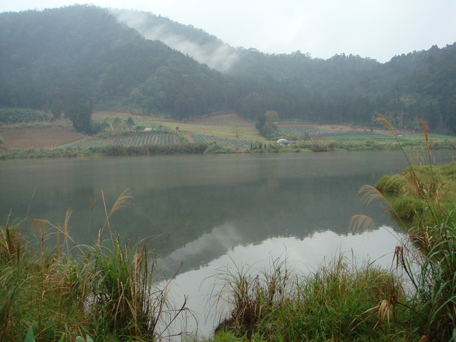 [DSC03923.JPG]