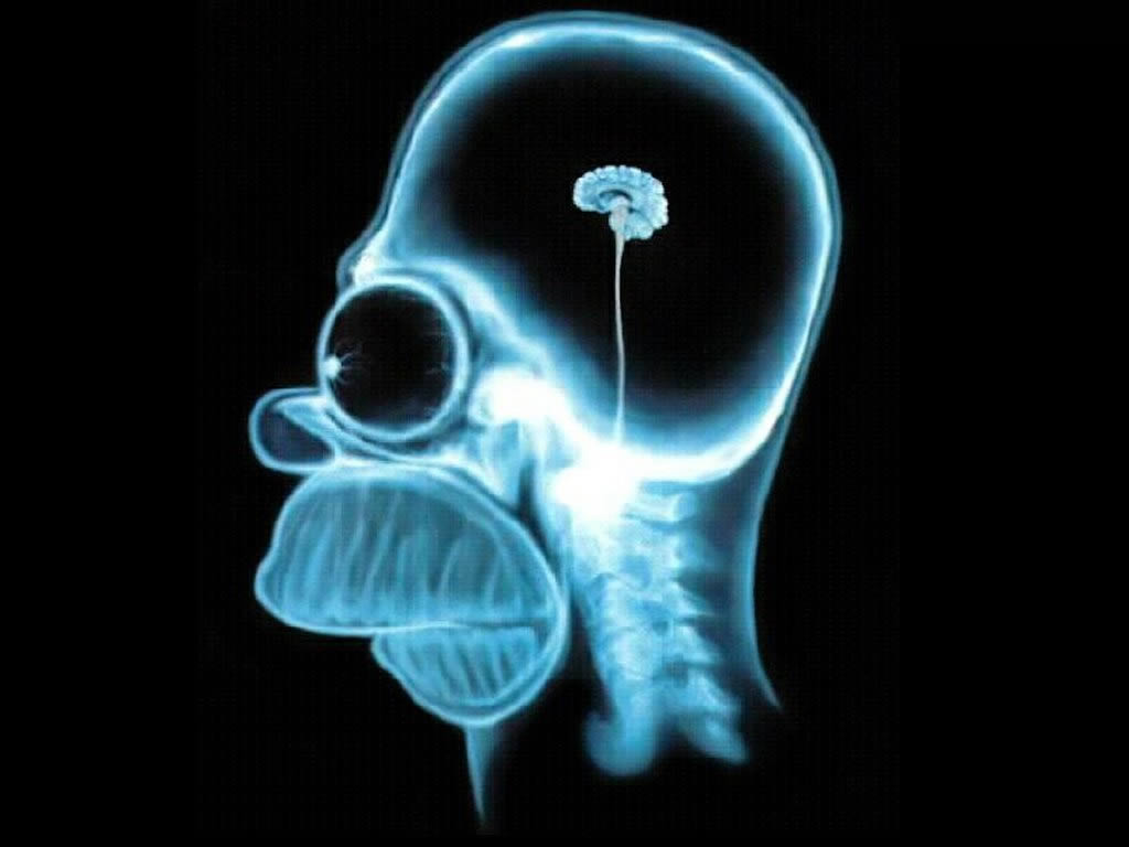 But here are a few 'Brainy people's ' thoughts But here are a few 'Brainy people's ' thoughts