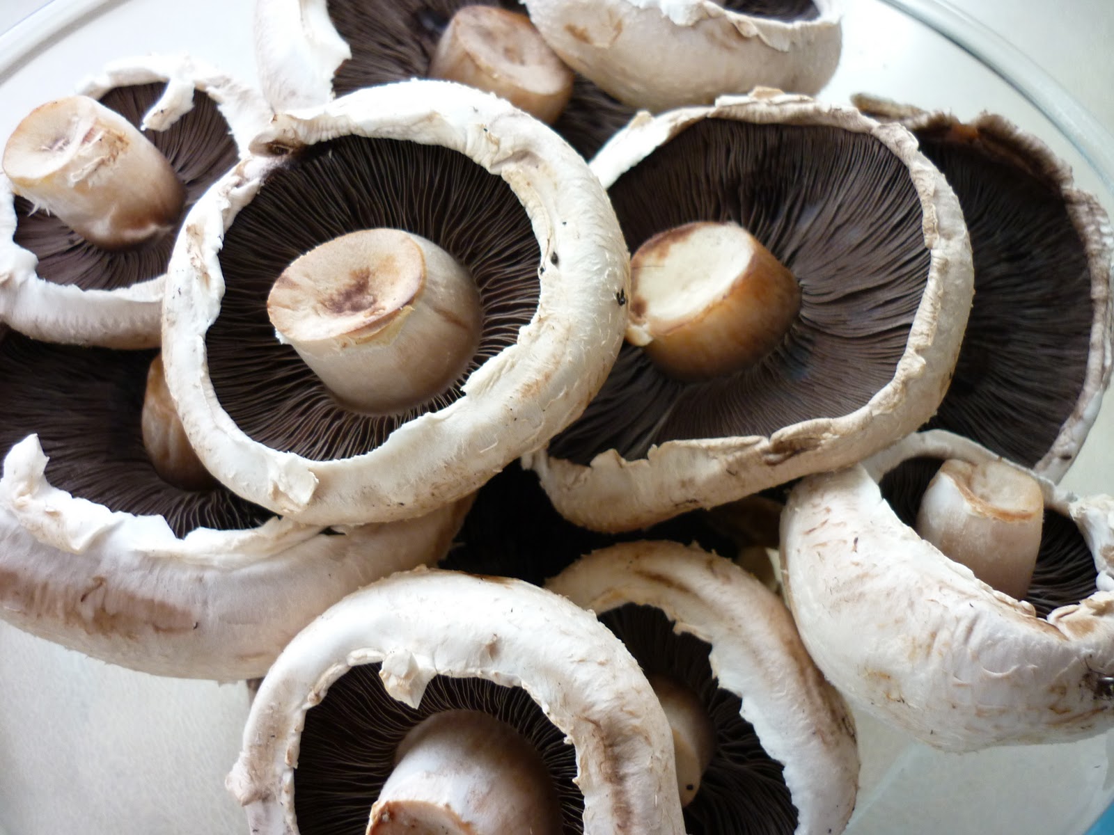 New Thinking on Food: Mushroom Soup