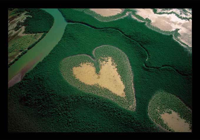 All you Need is Love