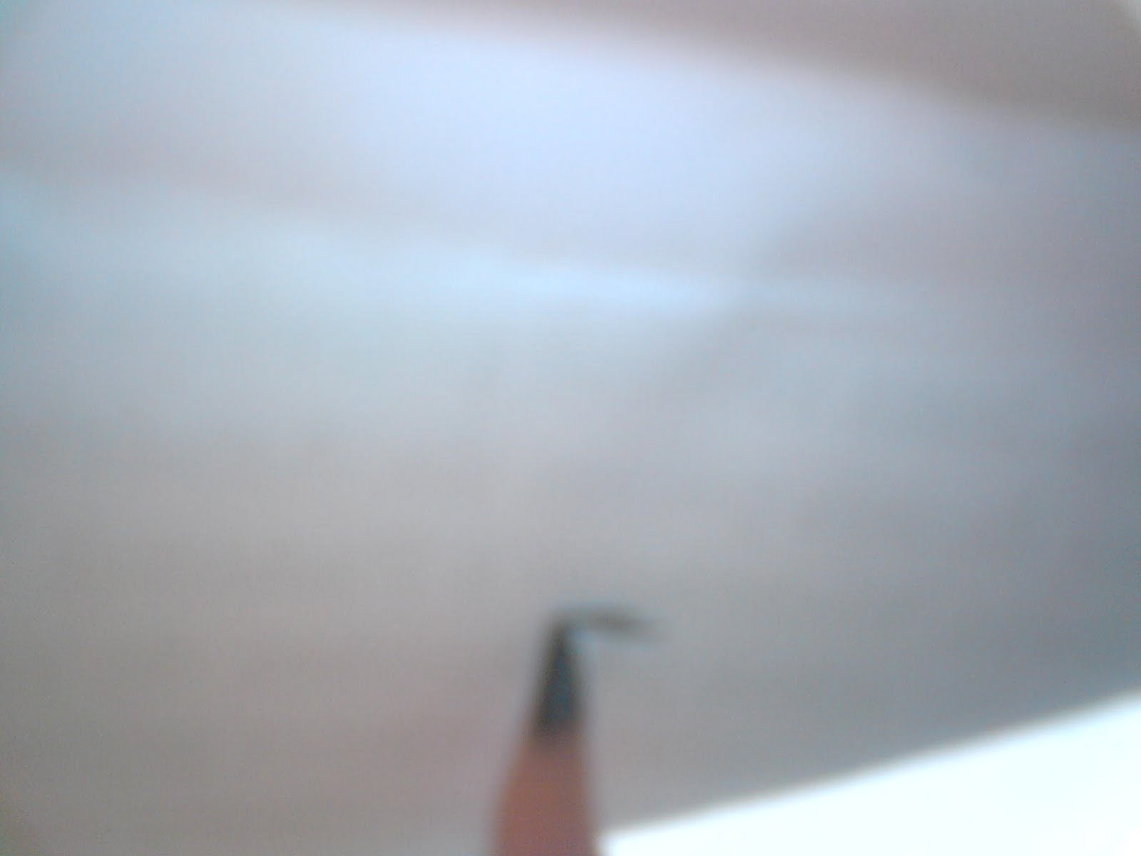 [DSC00043.JPG]