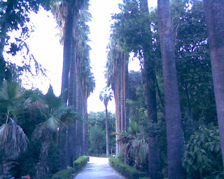 National Garden