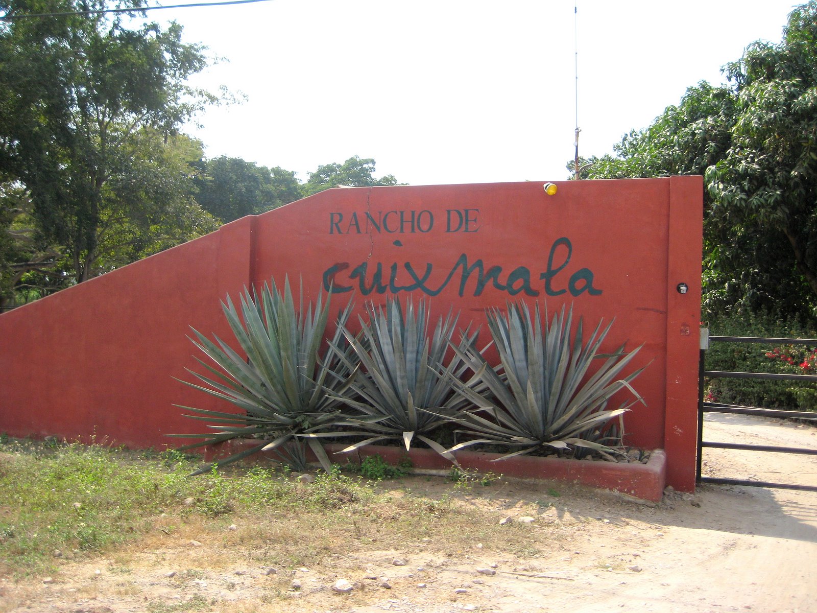 [MexAcapulcoVersBios_0770.JPG]