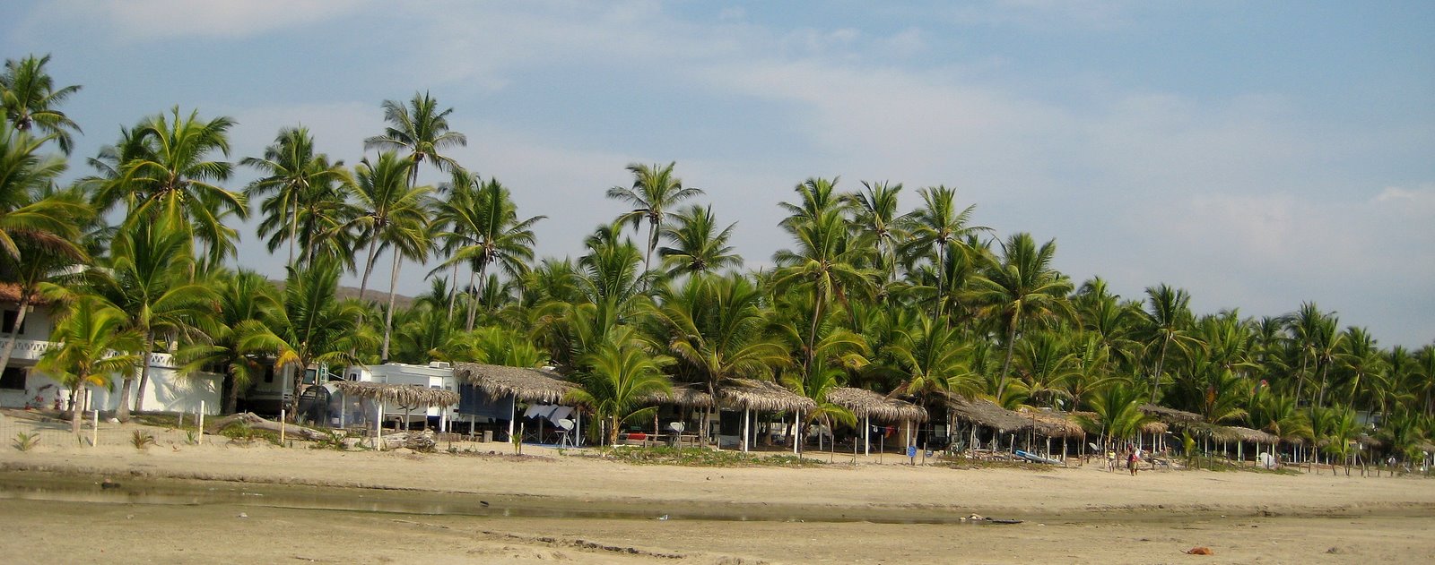 [MexAcapulcoVersBios_0774.JPG]