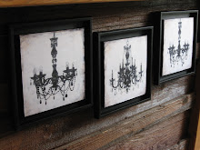 Chandelier canvases...with hip black frames.