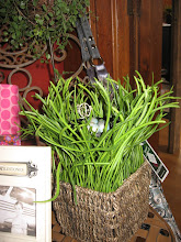 A basket of faux Spring pearl grass!