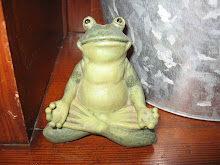 Yoga frog!