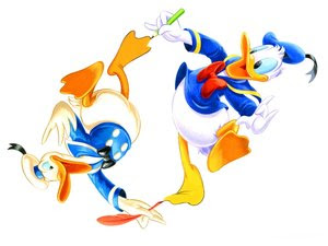 donald duck donald duck