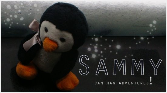 Sammy Can Has Adventures