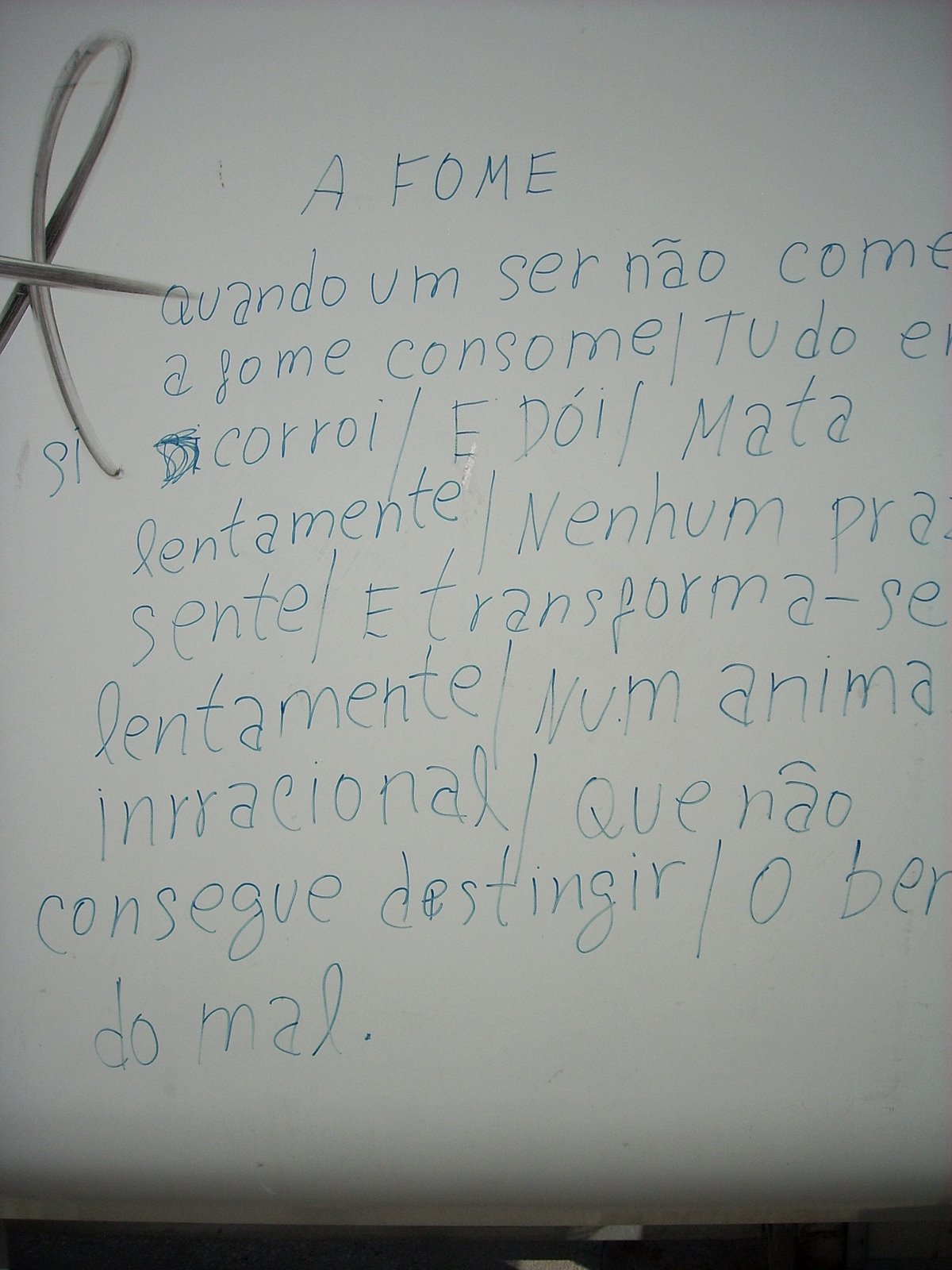 [DSCI0077.JPG]