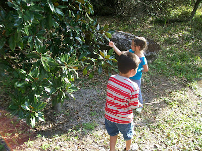 florida camping vacation