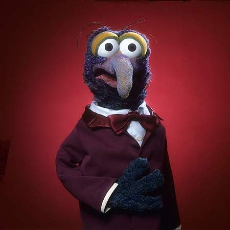 video gonzo video gonzo