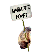 20/04 TRES BON ANNIVERSAIRE MARMOTTE !!! Marmotte_power