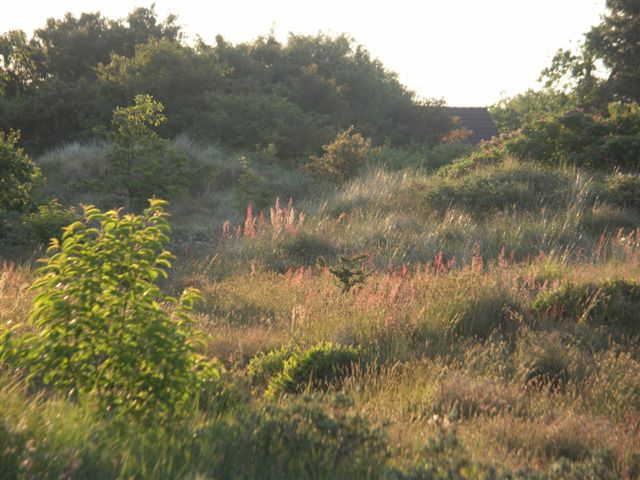 [PICT0064.JPG]
