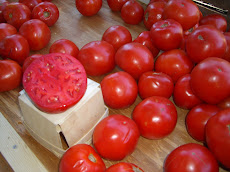 Tempting Tomatoes