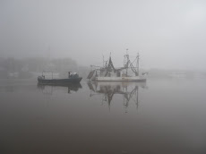 Incoming Shrimp Boat