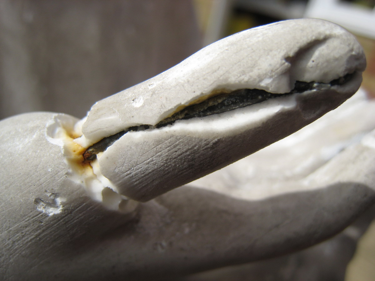 [IMG_0464_resize.JPG]